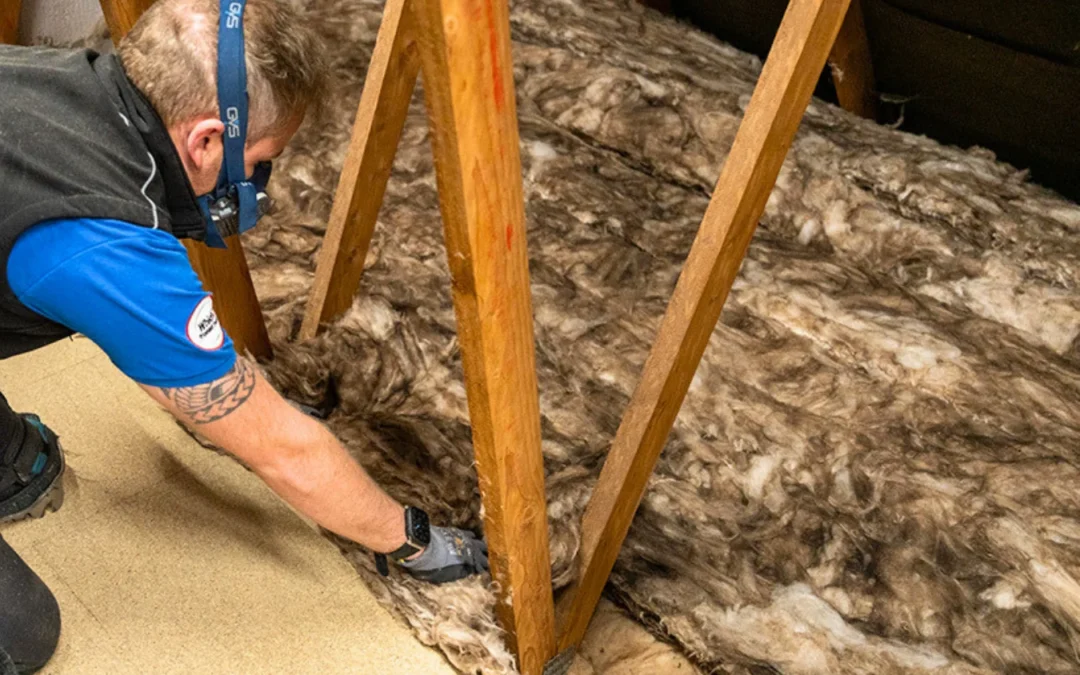 How Loft Insulation Can Actually Keep Your Home Cooler In The Summer